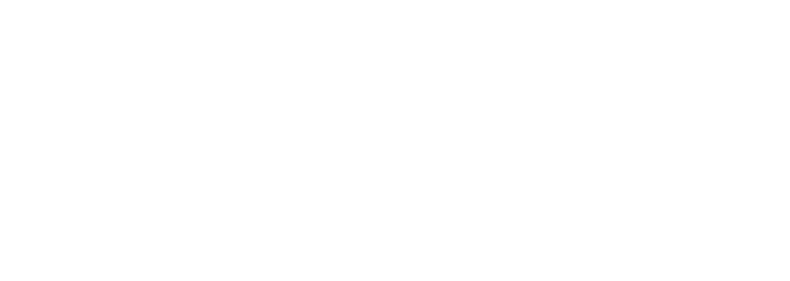 Geniusfits
